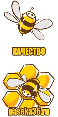 Гречишный мёд для мужчин
